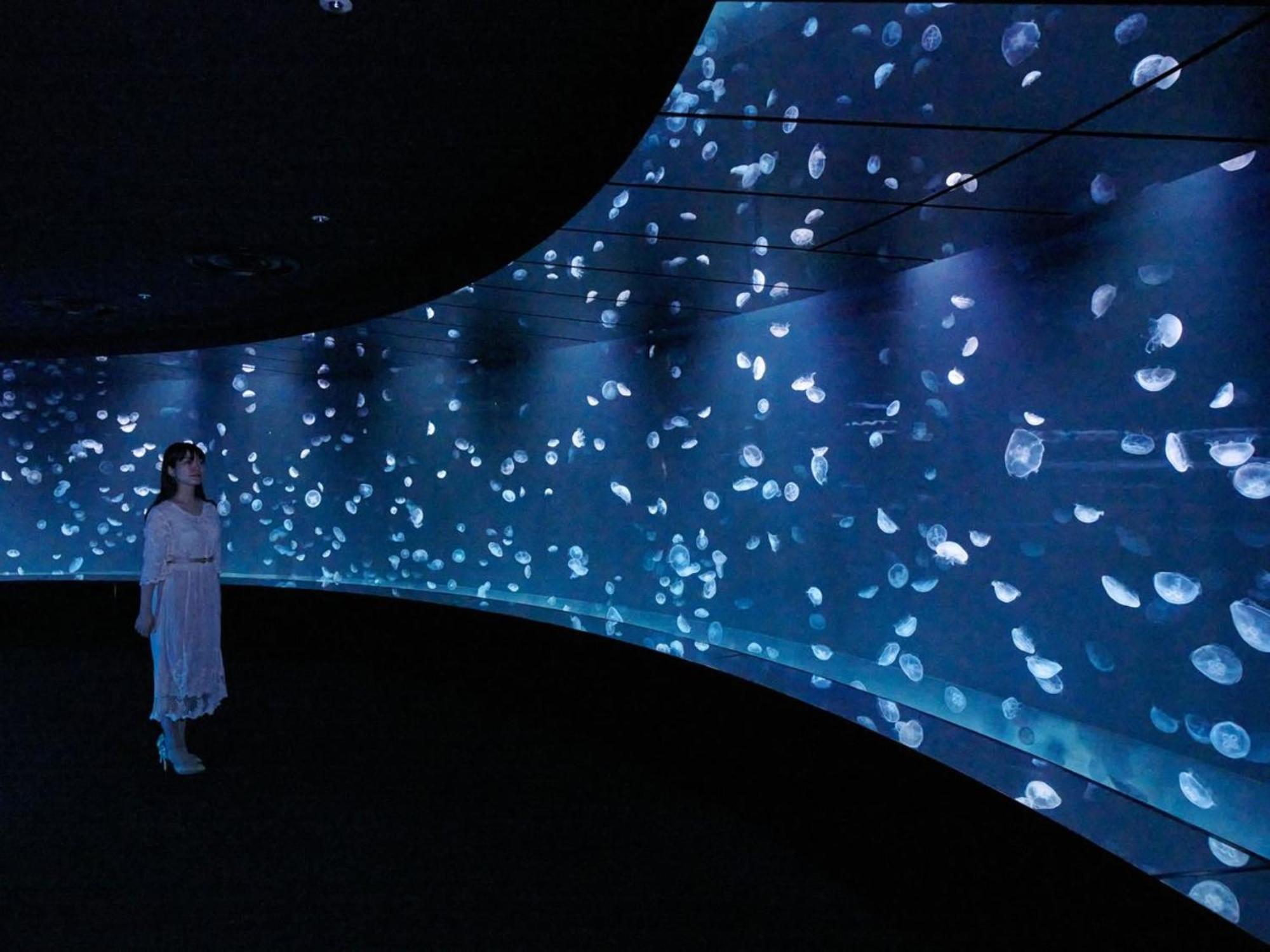 Vessel Inn Takadanobaba Station 東京都 外观 照片